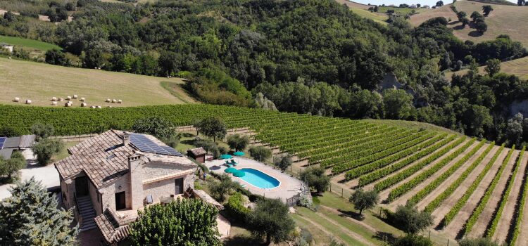 Sustainability is NOT an add-on Nikki Mattei